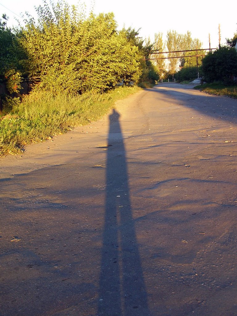 shadow, Жданов
