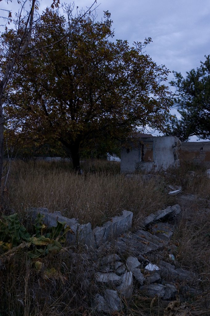 Ruins, Жданов