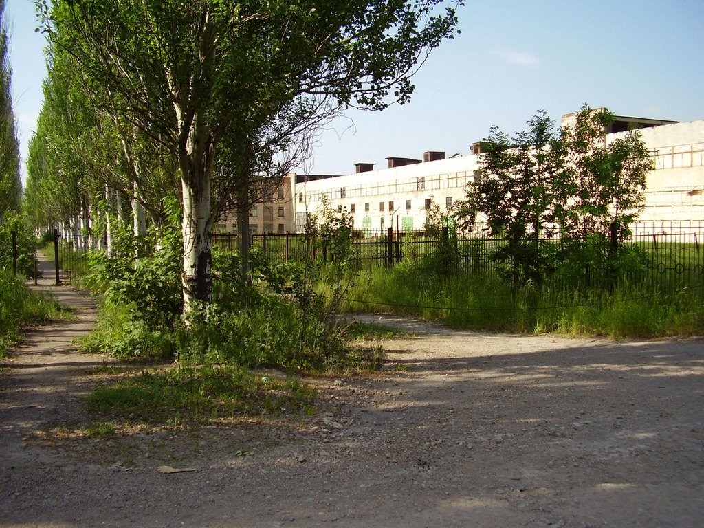 old plant, Жданов
