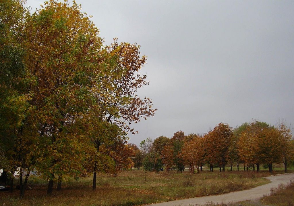 Autumn, Жданов