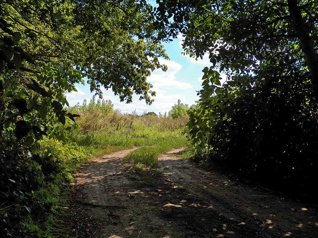 Арт Фото Зуевка - Mixyfotos.ru