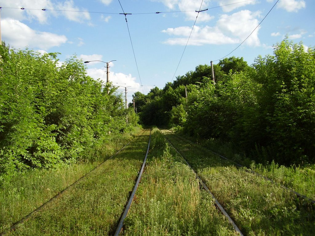 tram road, Карло-Либкнехтовск