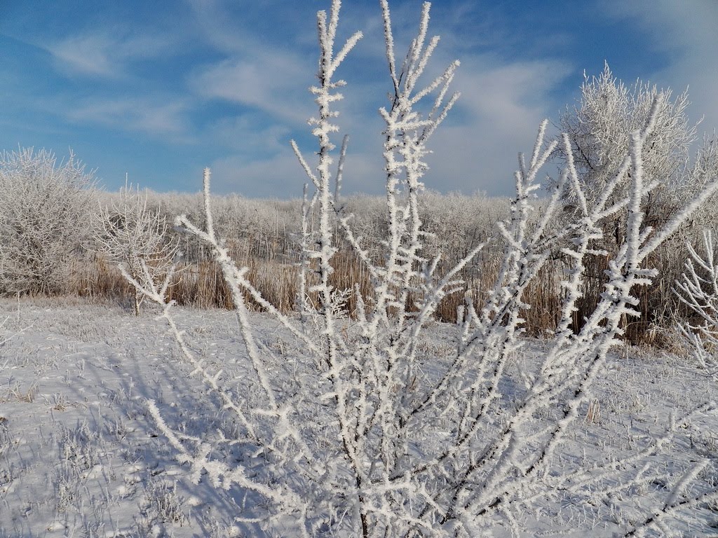 Узоры земли и неба, Карло-Марксово