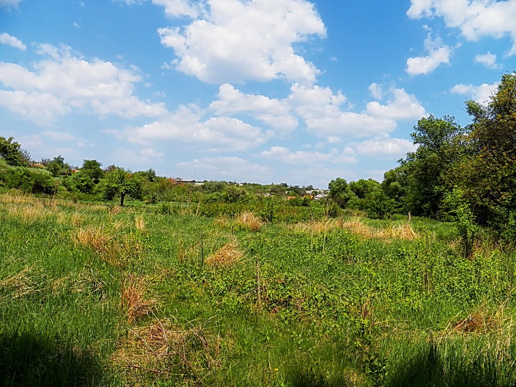 Дикие огороды Maksa, Карло-Марксово