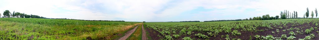 панорама поля, Кировск