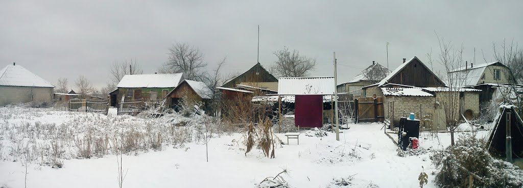 зимний огород кума, Кировск