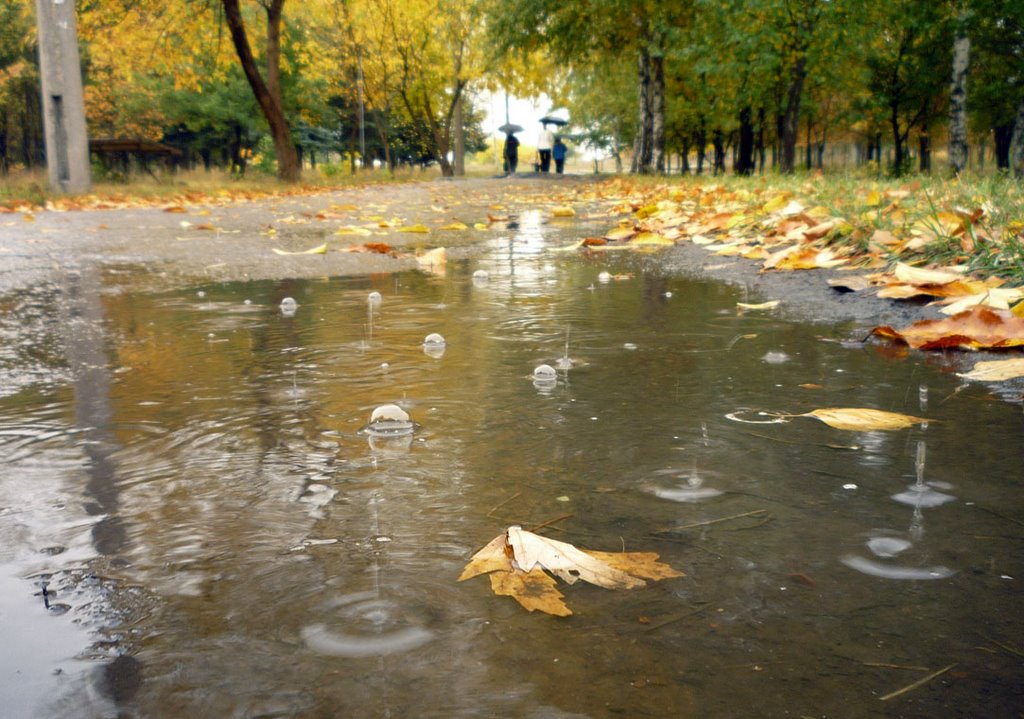 осень в парке Юбилейном, Краматорск