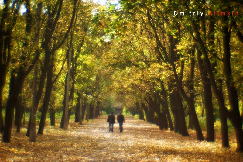 Autumn. The walk Pushkin. Kramatorsk. Осень. Аллея в парке Пушкина. Краматорск, Краматорск