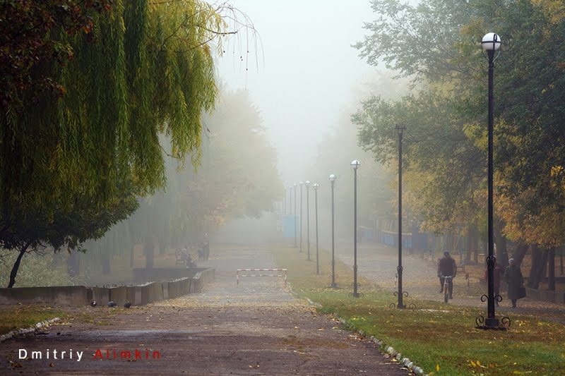 The Fog. Jubilee Park. Kramatorsk. Туман. Парк Юбилейный. Краматорск, Краматорск