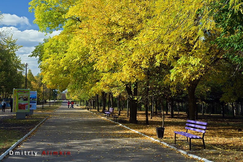 Autumn. Jubilee Park. Kramatorsk. Осень. Парк Юбилейный. Краматорск, Краматорск