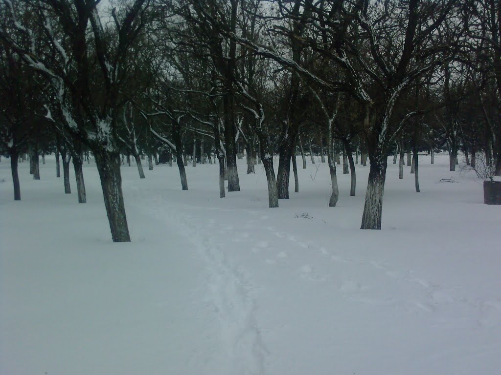 Зима в Новоазовске (возле военкомата), Новоазовск