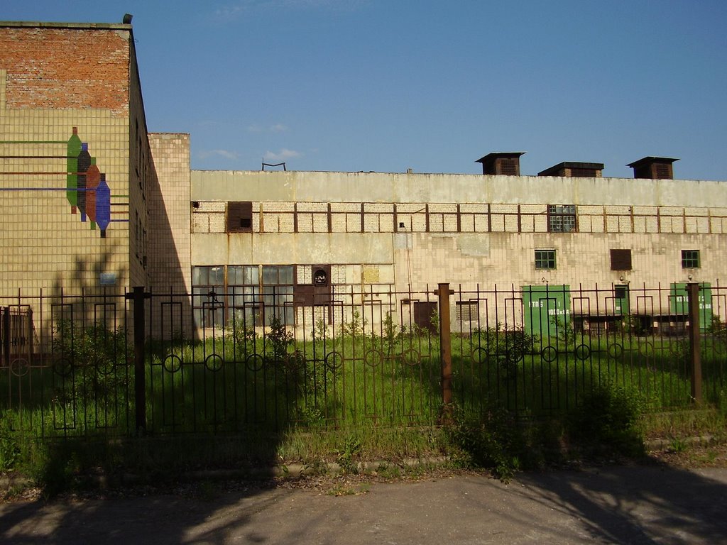 old plant, Першотравневое