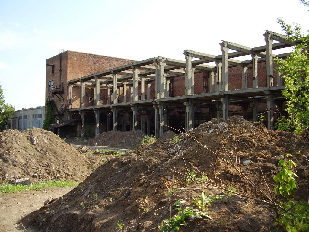 old plant, Першотравневое