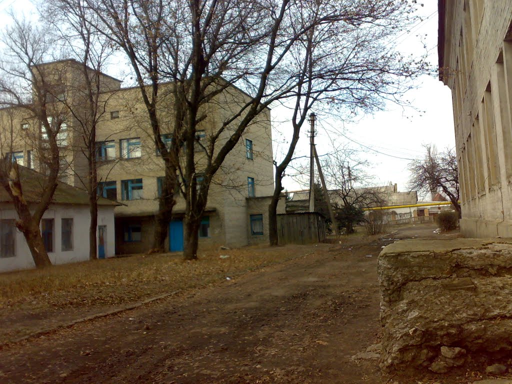 Во дворе детской больницы, Селидово