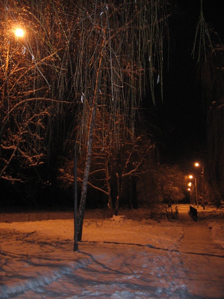Міський парк Словянська вночі, Славянск