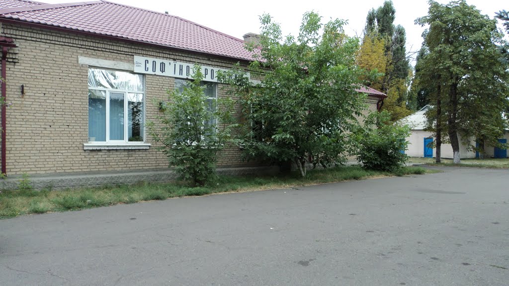 Станция Софьино-Бродская, Снежное