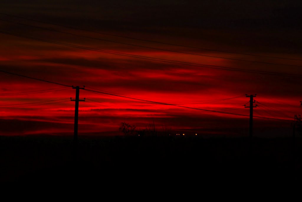 bloody sunset, Торез