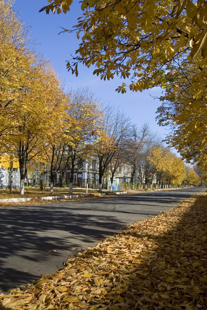 Улица Патона, Харцызск