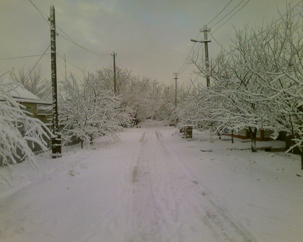 Садовый снежной зимой, Харцызск