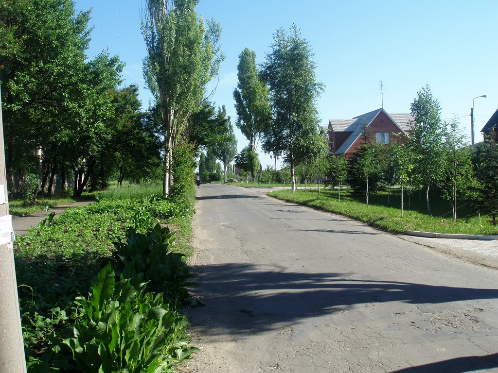 Dubrava, Ясиноватая