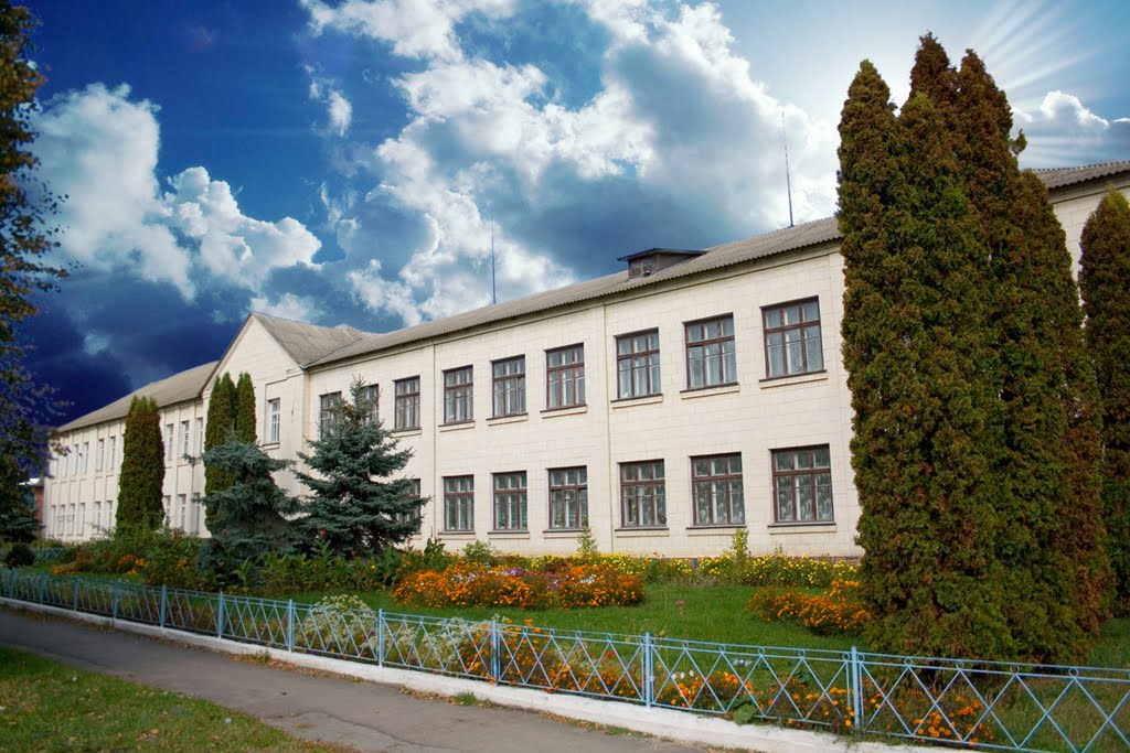 Школа №2, Андрушевка
