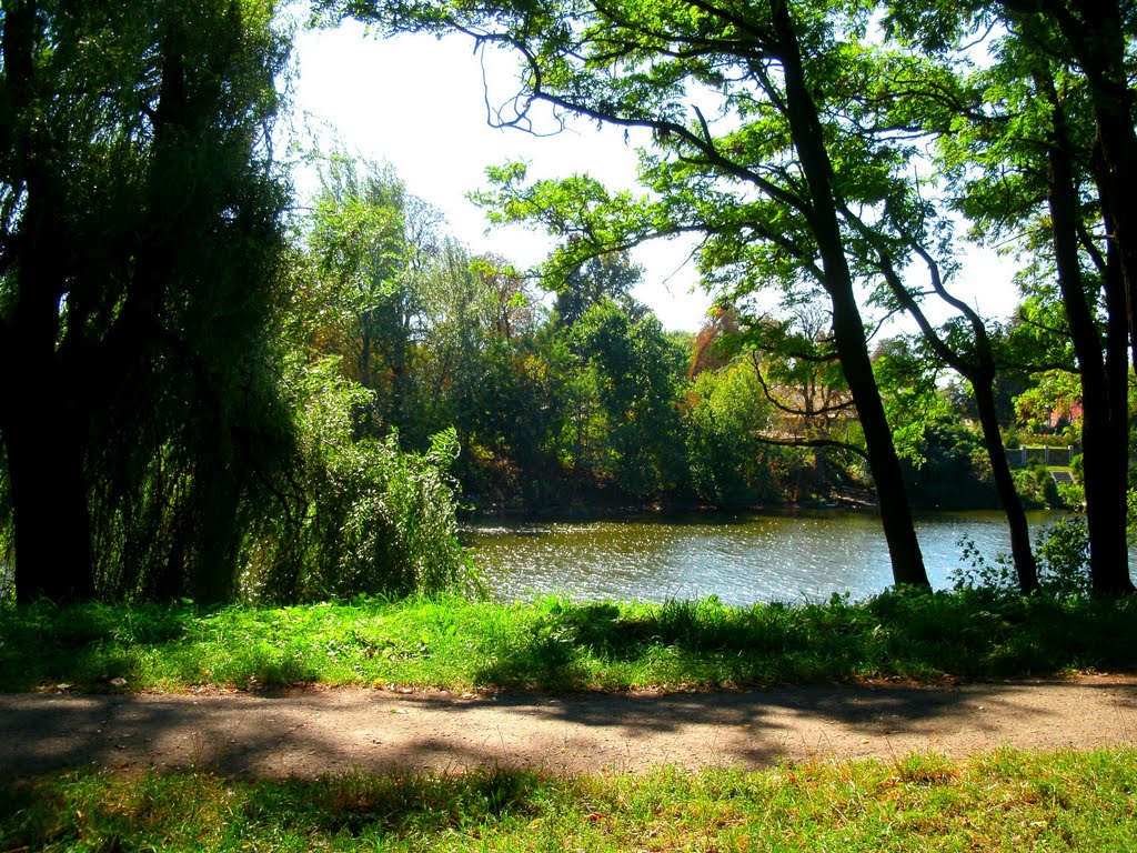 Парк в Андрушевке, Андрушевка