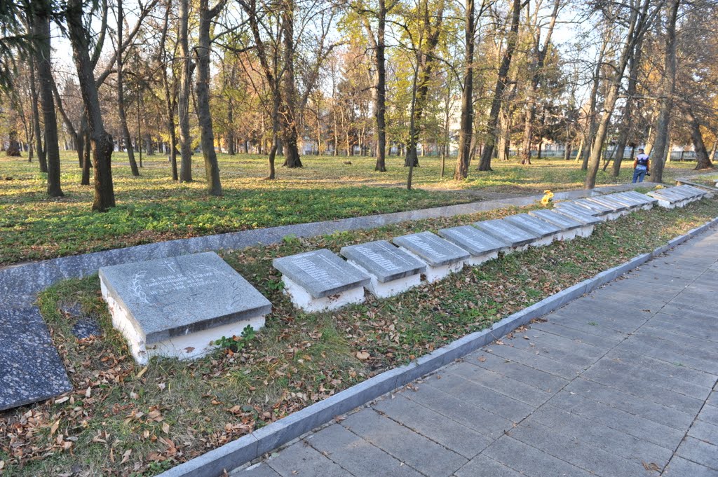 Памятник, Андрушевка