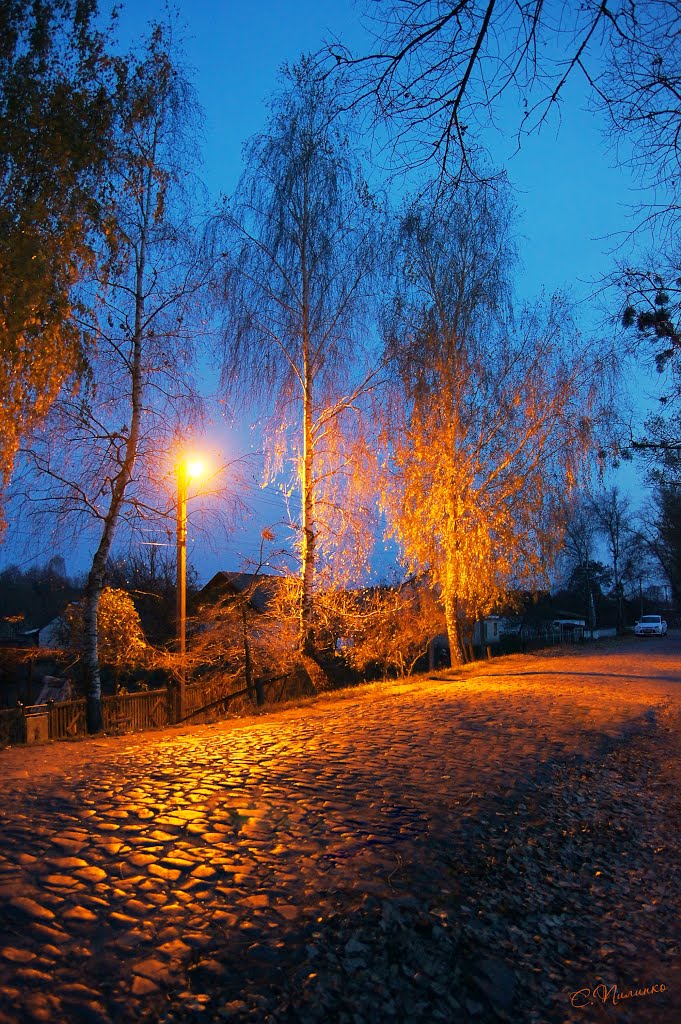 Вечер на сельской улочке/ Village street in the evening, Барановка