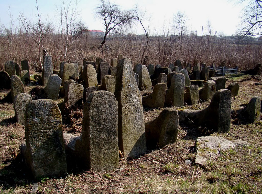 Berdychiv - old jewish cemetery, старий єврейский цвинтар, старое еврейское кладбище, Бердичев