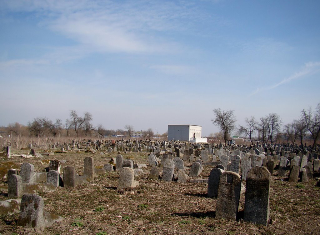 Berdychiv - old  jewish cemetery, старий єврейский цвинтар, старое еврейское кладбище 2, Бердичев
