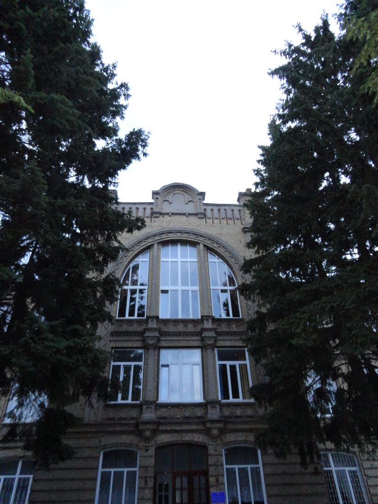 Медичний коледж - Medical College, Бердичев