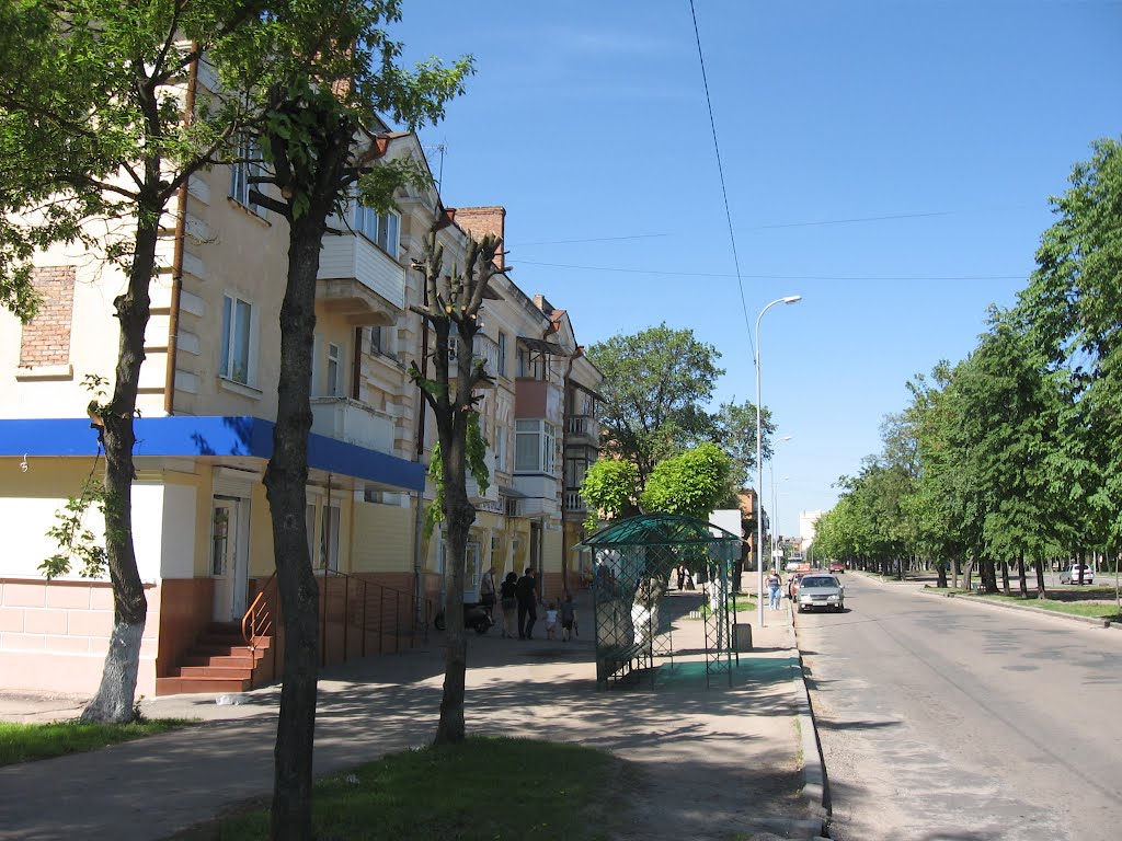вулиця Лібкнехта, Бердичев