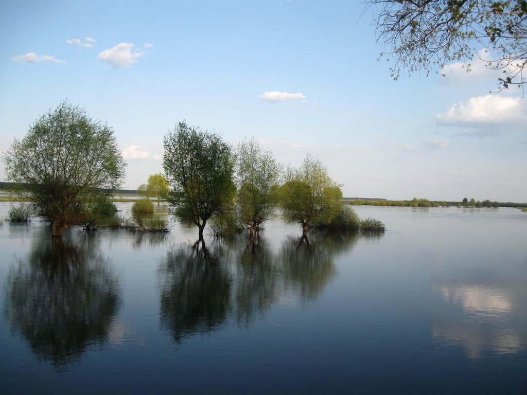 Брезне: річка "Случ", Броницкая Гута