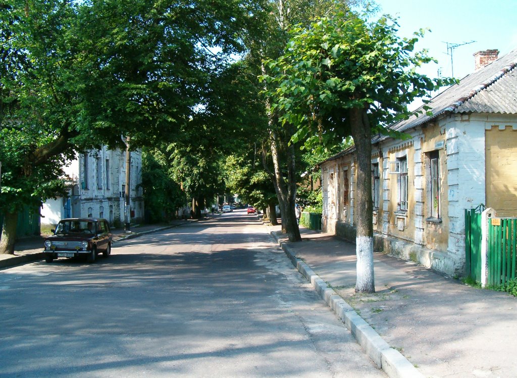ул. Пушкинская, Житомир