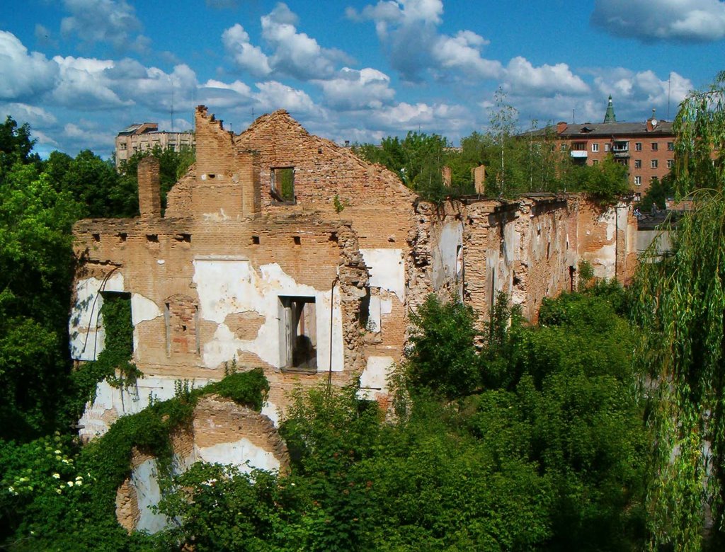 Развалины келий Иезуитского монастыря, Житомир