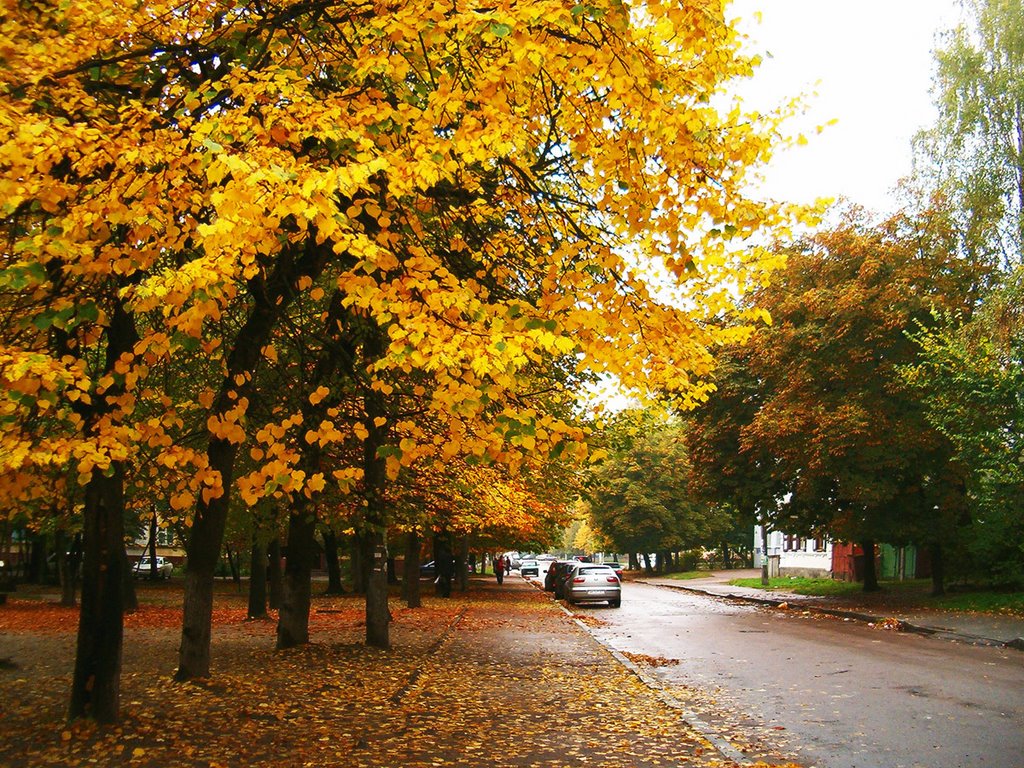 Золотая осень, Житомир