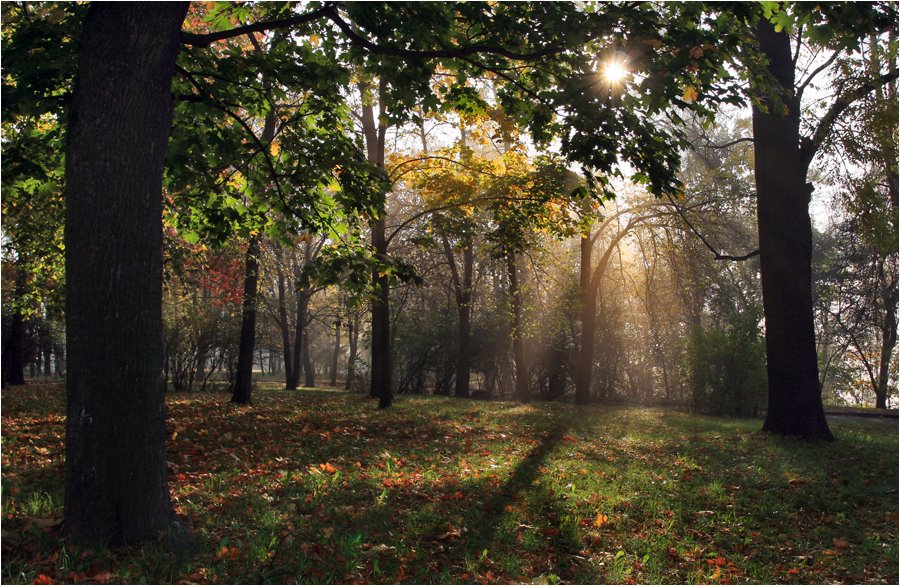 Осенний парк.2008, Житомир