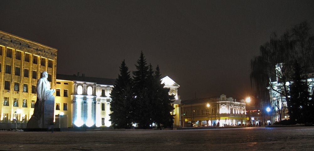 Ночной город II, Житомир