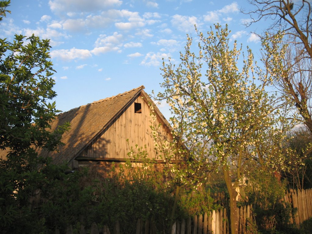 Old house, Иванополь