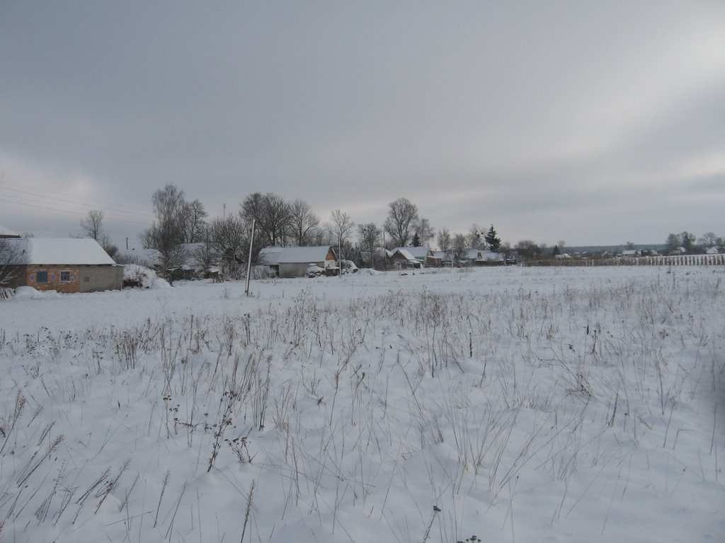 The winter field), Иванополь