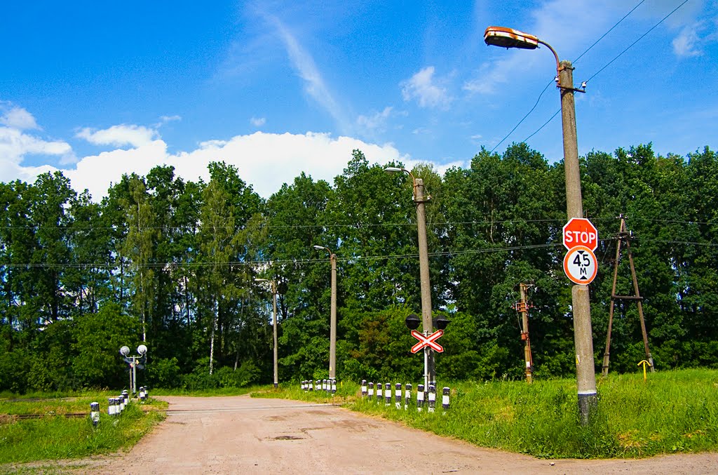 Железнодорожный переезд на перегоне Коростень - Клочки, 16.06.2010, Коростень