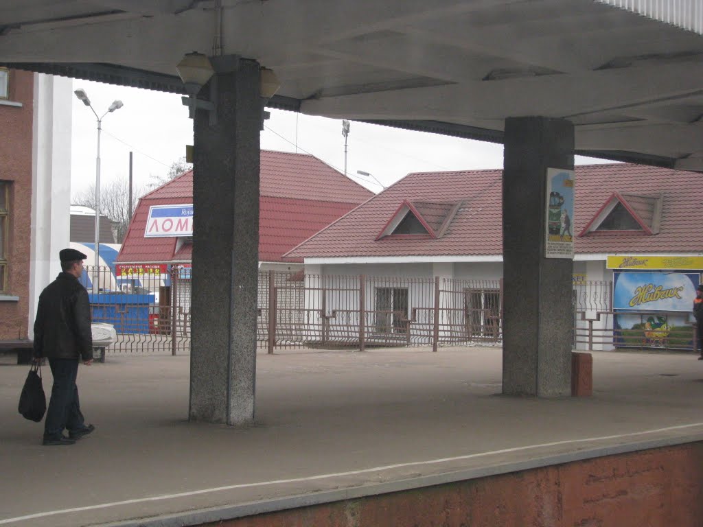 Украина, Коростень, вокзал, февраль 2011, Коростень