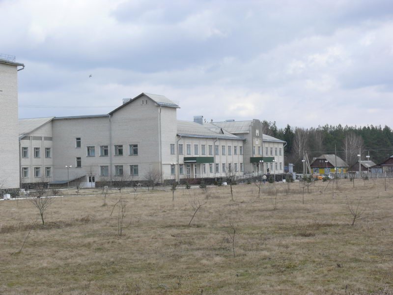 Hospital, Лугины