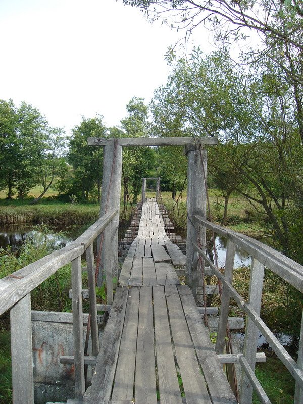 Podvesnoy Most, Лугины