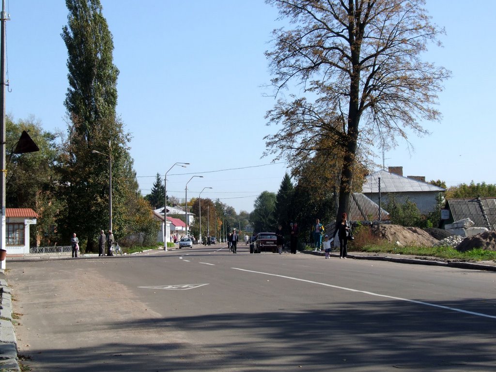 Street, Лугины