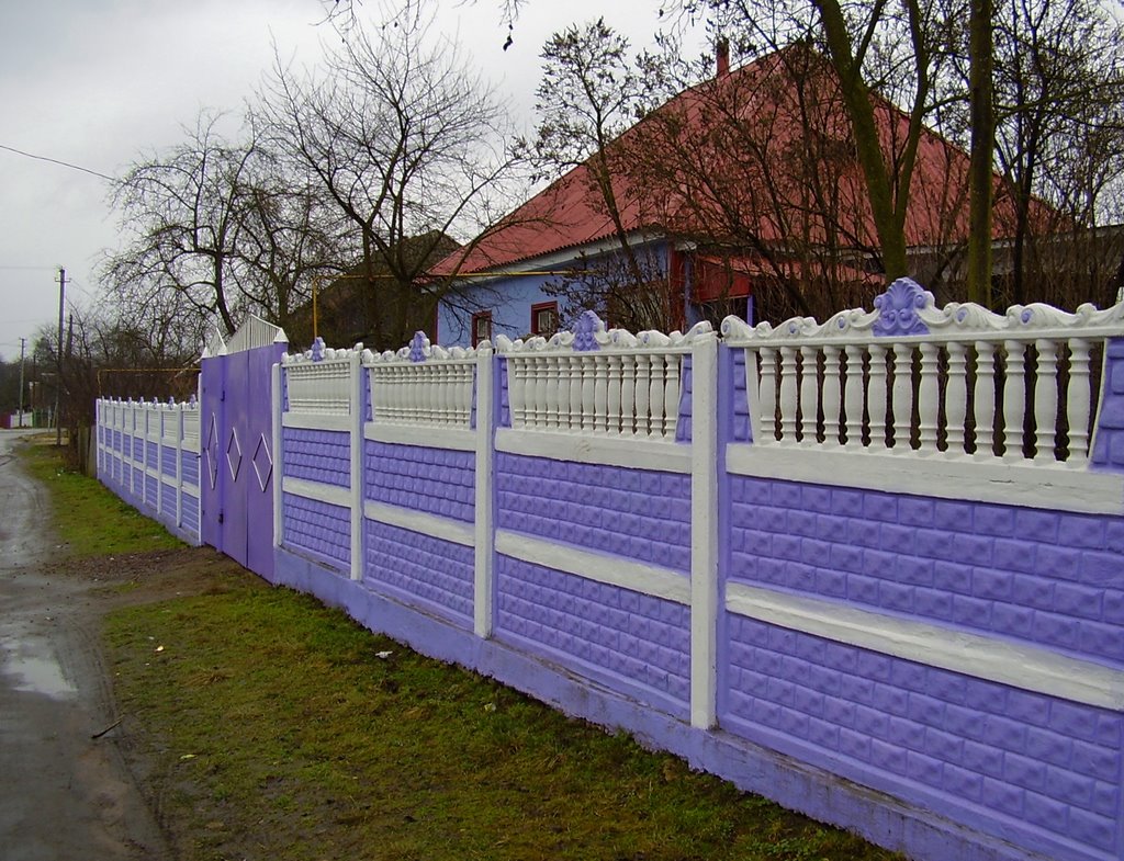 Paradoxes of architecture: freak fence, Лугины