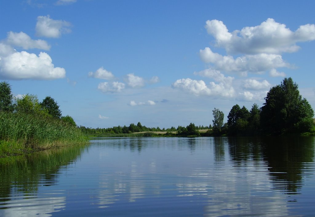 Tovsta River, Лугины