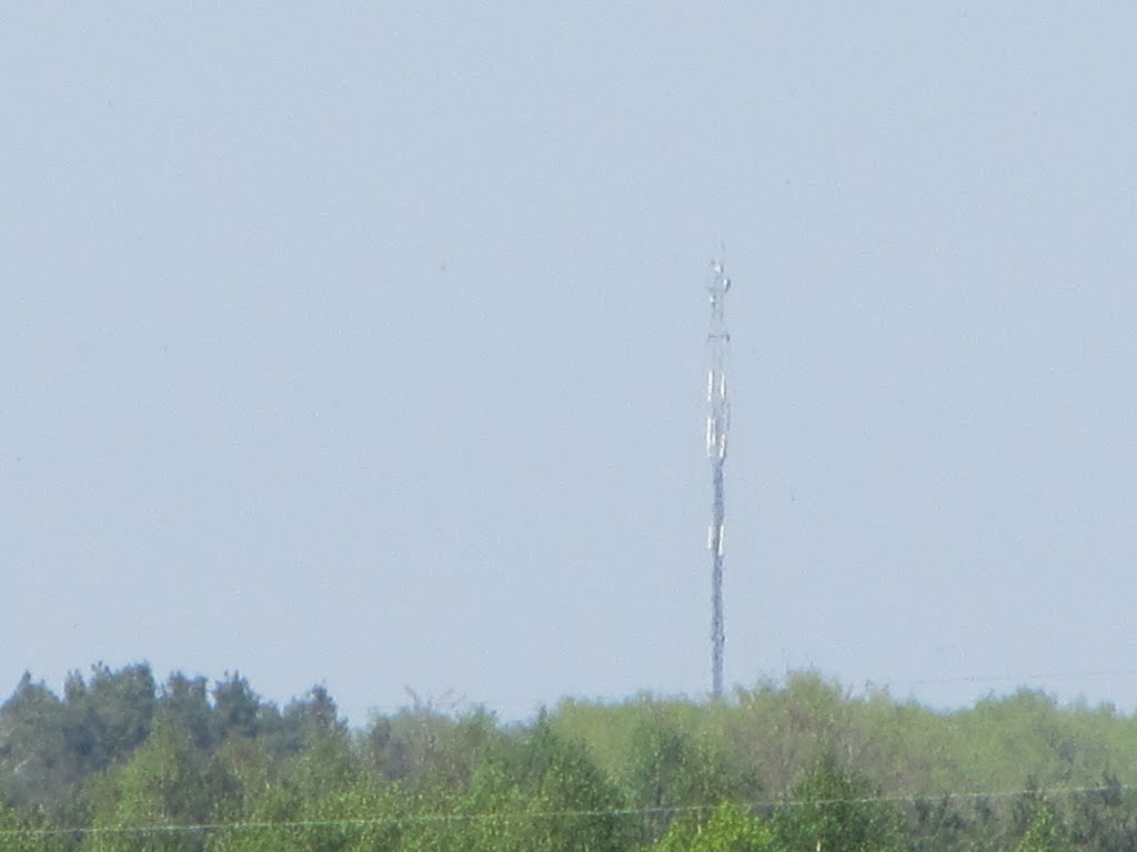 Мобильный маяк района, Лугины