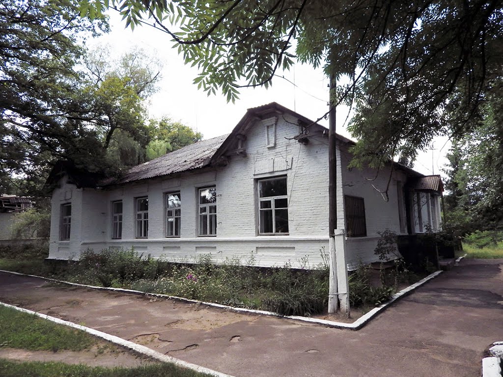 больница (1905) 2., Лугины