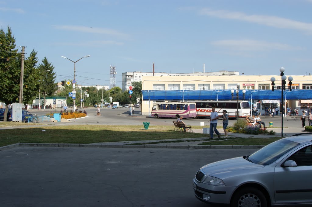 Новоград-Волинський Автовокзал, Новоград-Волынский